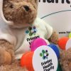 NEW - Teddy Bear with dressing gown - Image 3